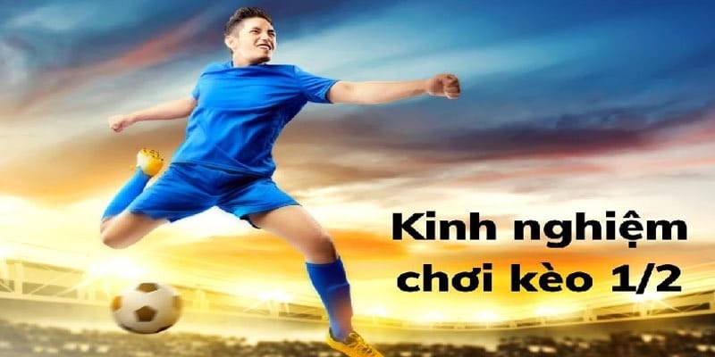 Những mẹo dự đoán tỷ lệ Handicap 1/2 chuẩn theo chuyên gia