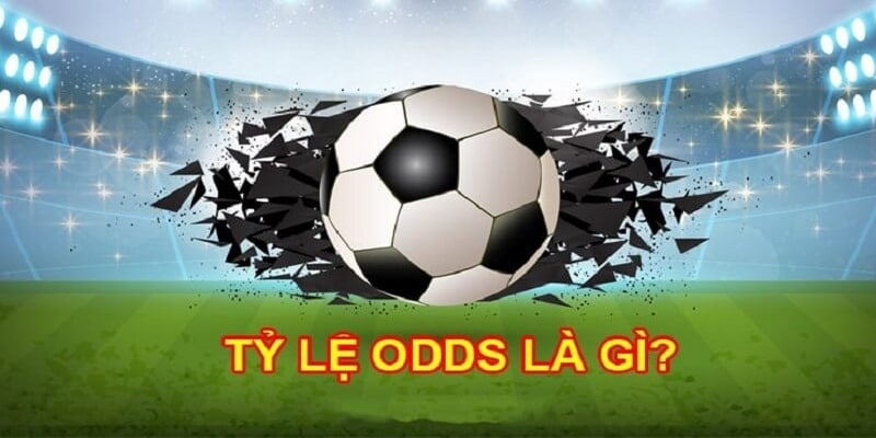 Tìm hiểu về Odds