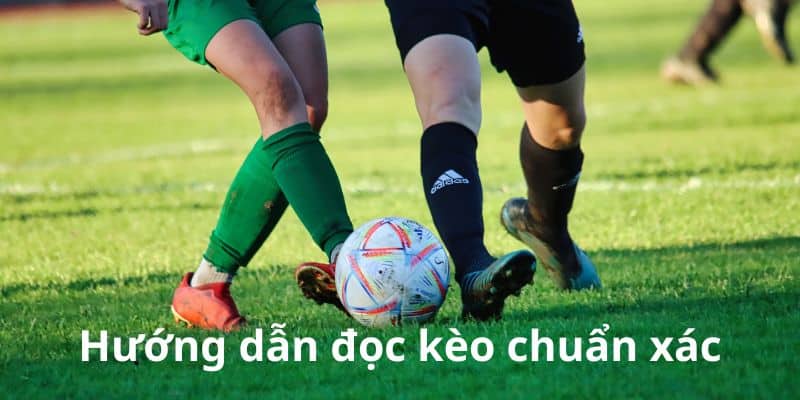 Quy tắc đọc kèo cơ bản dành cho Newbie tham khảo